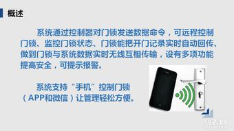 上海廠家直銷 引領智能生活新潮的互聯網門鎖與無線WiFi鎖